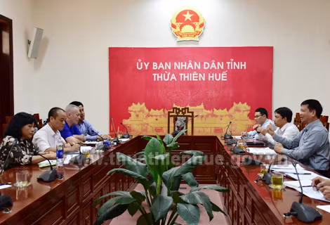 FIFA et UEFA finance un projet de football à Thua Thien-Hue ảnh 1