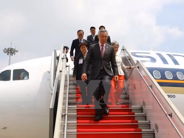 Promouvoir la coopération entre Da Nang et Singapour ảnh 1