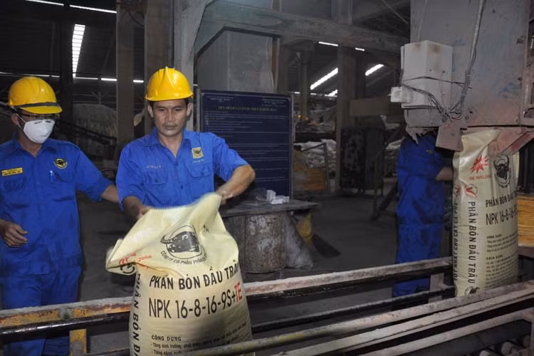 Les exportations d’engrais retrouve la croissance ảnh 1