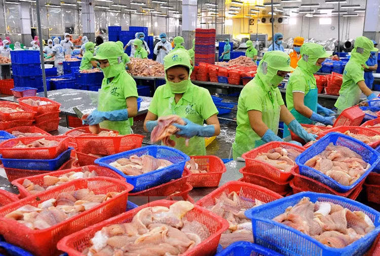 Exportations nationales estimées à 43,03 milliards de dollars au 1er trimestre ảnh 1