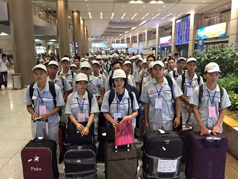 Un demi-million de Vietnamiens travaillent à l’étranger ảnh 1
