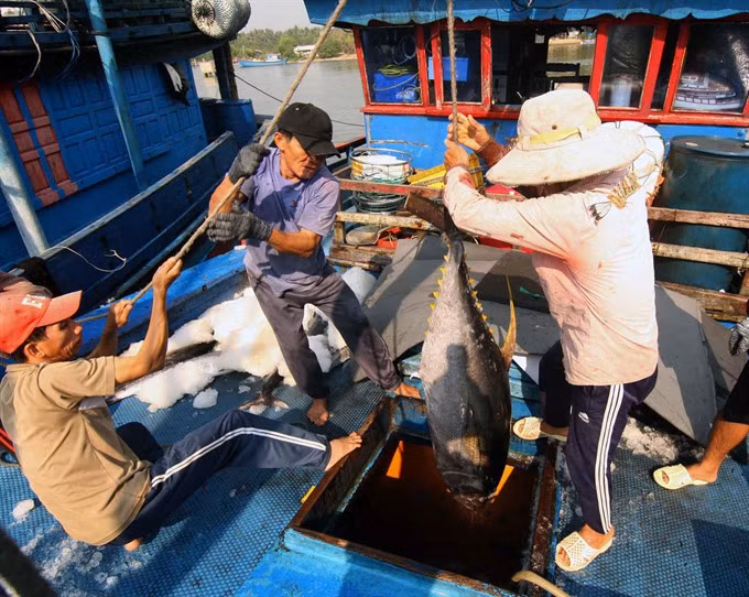 Publication d’un livre blanc sur la pêche INN au Vietnam ảnh 1
