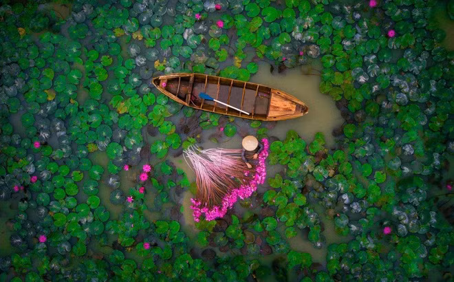 Deux photos prises au Vietnam dans le Top 20 mondial 2017 des plus belles photos par drone ảnh 1