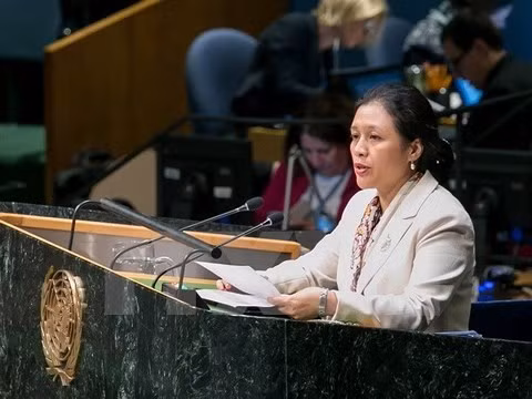 Le Vietnam appelle la réforme des opérations de maintien de la paix ảnh 1