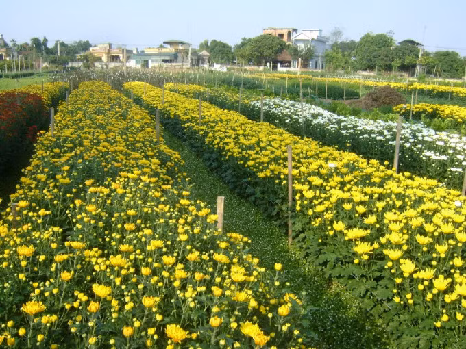Quand horticulture et tourisme font bon ménage… ảnh 1
