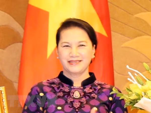 La présidente de l’AN Nguyên Thi Kim Ngân participera à l'UIP-138 et visitera aux Pays-Bas ảnh 1
