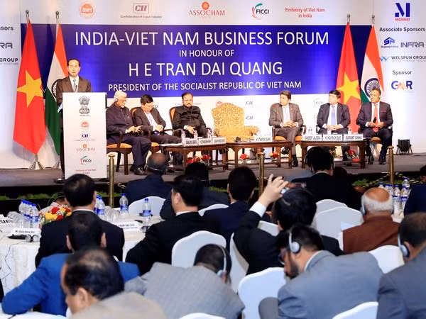 Le président Tran Dai Quang participe à un forum d’affaires Vietnam-Inde ảnh 1
