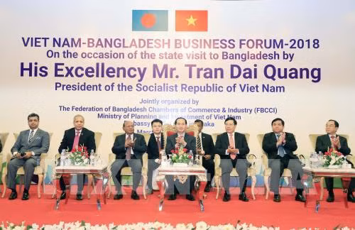 Le Vietnam veut impulser ses liens économiques avec le Bangladesh ảnh 1