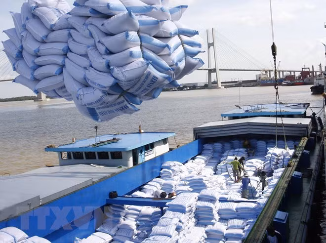 La visite du président Tran Dai Quang, un vent nouveau sur les liens commerciaux Vietnam-Bangladesh ảnh 1