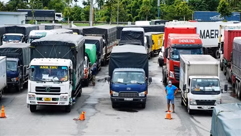 Nécessité d’assouplir les mesures de contrôle de la circulation dans le Sud ảnh 1