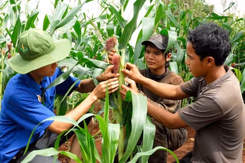 Créer sa start-up, le rêve de la jeunesse du Tây Nguyên ảnh 1