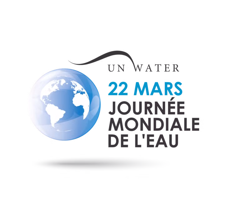 Célébrations de la Journée internationale de l’eau et de la météorologie 2019 ảnh 1