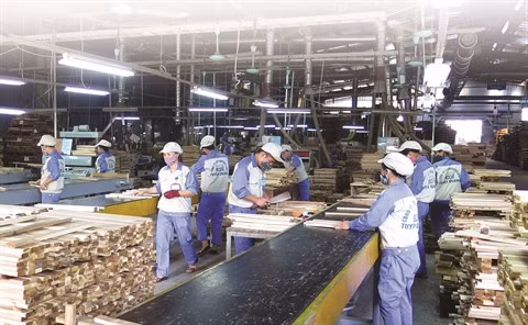 Professionnaliser le marché du travail, une mission clé ảnh 2