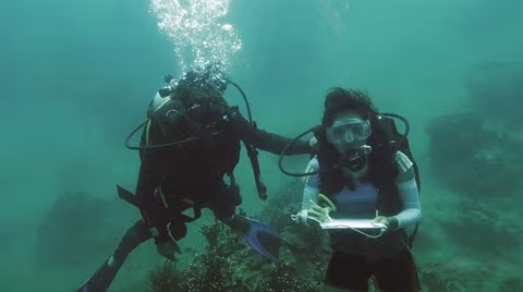 Vingt mille lieues sous Cù Lao Chàm ảnh 2