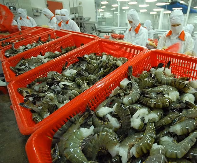 Croissance à deux chiffres des exportations de produits aquatiques vers le Royaume-Uni ảnh 1