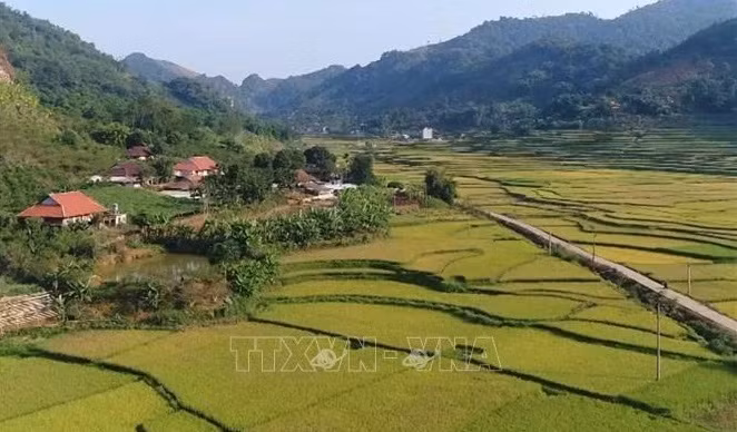 Le gouvernement approuve le programme de construction de la nouvelle ruralité 2021-2025 ảnh 2