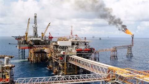 Les grandes entreprises publiques doivent être des chefs de file dans leur domaine ảnh 2