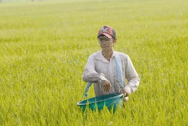 La Chine, premier fournisseur d’engrais du Vietnam ảnh 1