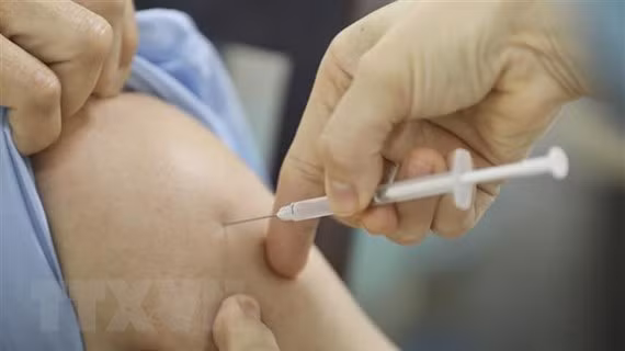 COVID-19 : aucun nouveau cas détecté au cours des 12 dernières heures ảnh 1