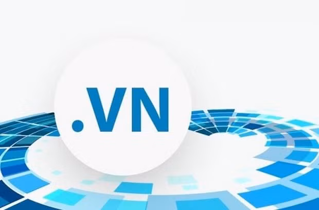 Dong Thap : mise en service le premier point d'enregistrement du nom du domaine national ".vn" ảnh 1