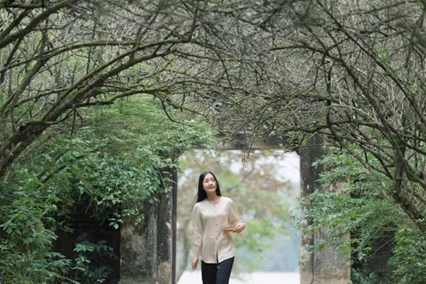 Des films sur la culture de Hue, fruit d'une coopération vietnamo-sud-coréenne ảnh 1