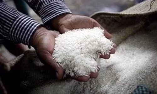 Le Laos prévoit d’exporter 400.000 tonnes de riz en 2017 ảnh 1
