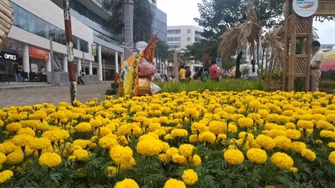 Des foires printanières aux fleurs à Ho Chi Minh-Ville ảnh 2