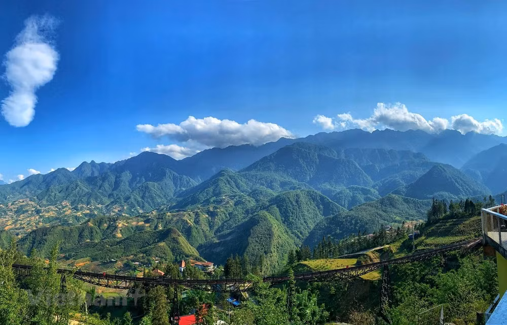 Lao Cai cherche à développer le tourisme à partir de plantes médicinales ảnh 1
