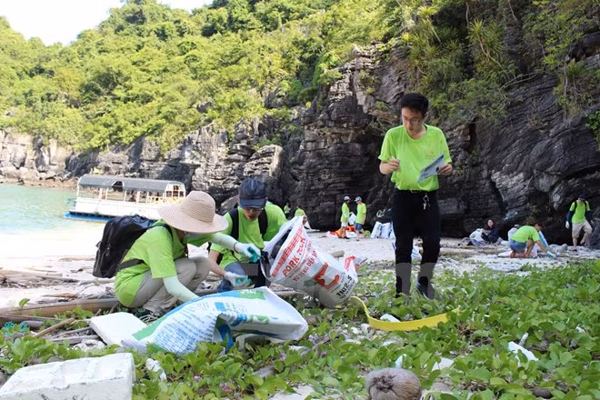 Agir pour une baie d’Ha Long verte ảnh 1