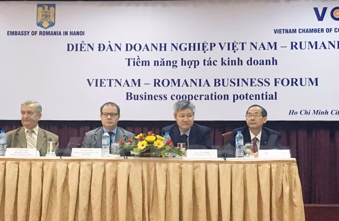 Forum d’entreprises Vietnam-Roumanie à Ho Chi Minh-Ville ảnh 1