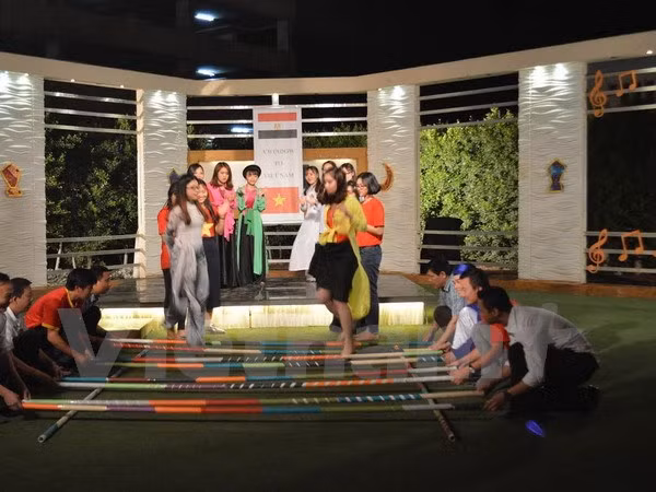 Egypte : émission télévisée spéciale sur le Vietnam ảnh 2