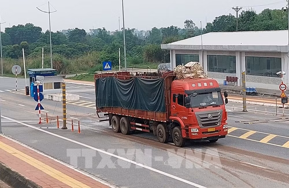 Quang Ninh : la porte frontalière de Mong Cai traite 45.300 tonnes de fret depuis sa réouverture ảnh 1
