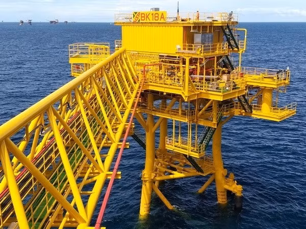 Perspectives de la coopération économique entre le Vietnam et la Russie ảnh 1