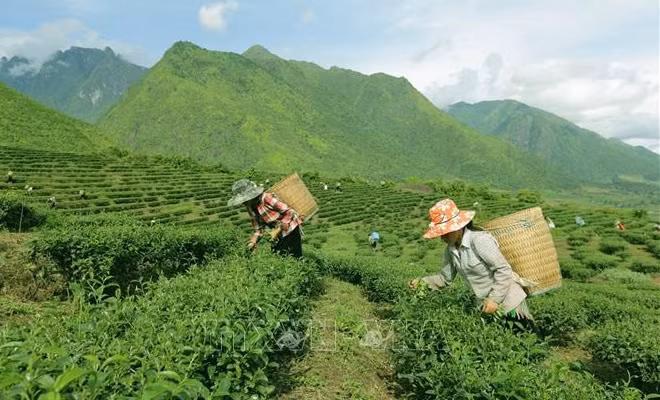 Le Vietnam s’efforce de réduire la pauvreté dans les zones montagneuses et reculées ảnh 1