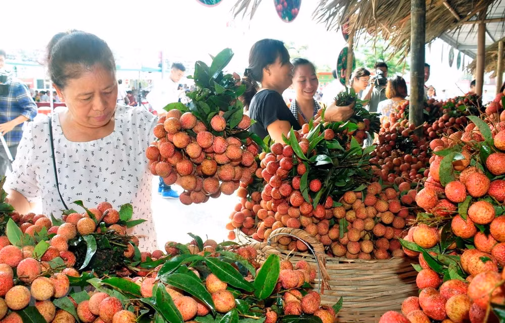 Bac Giang s’emploie à mettre à niveau ses produits OCOP ảnh 1