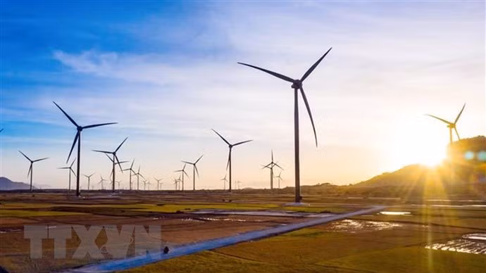 Opportunités d’investissement dans le secteur des énergies renouvelables au Vietnam ảnh 1