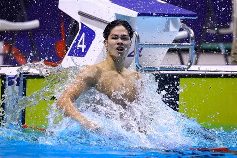 Trois artisans du succès de la natation vietnamienne ảnh 4