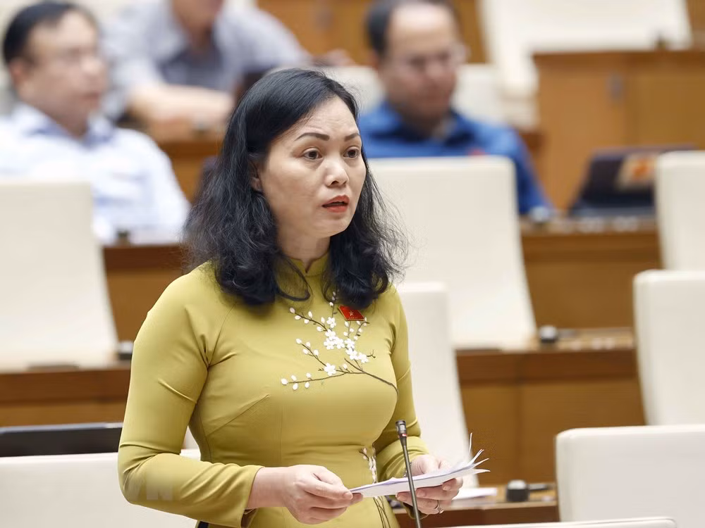 Une 3e session de l’Assemblée nationale couronnée de succès ảnh 3