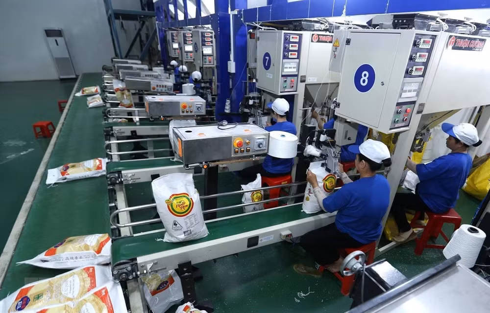 Les produits vietnamiens cherchent à mieux se vendre en Europe du Nord ảnh 2