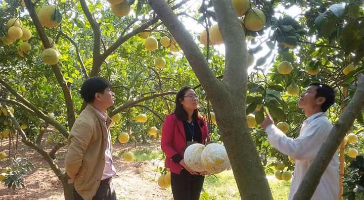 Nouvelle Ruralité: Mission accomplie… avant terme ảnh 1