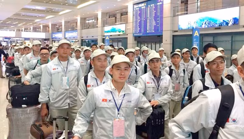 Objectif : envoyer 130 000 travailleurs vietnamiens à l’étranger en 2020 ảnh 1