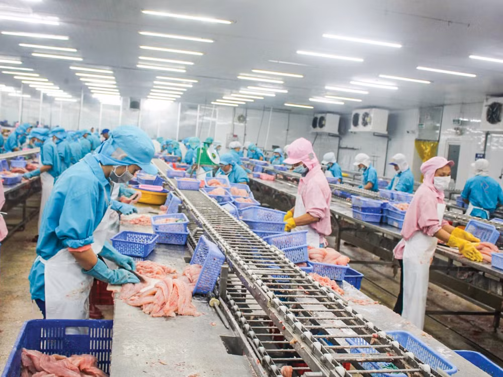 De bons signes pour les exportations de poissons tra à Singapour ảnh 1