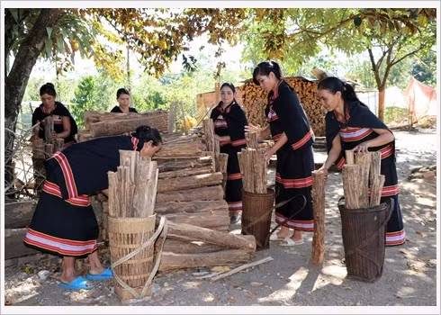  Le "bois de fiançailles" des Gie Triêng à Kon Tum ảnh 1