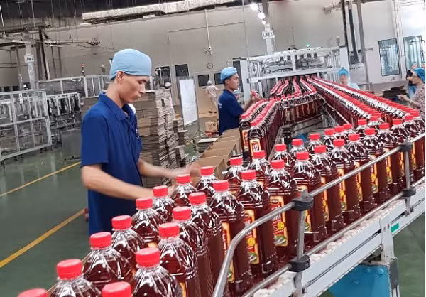 1er semestre: hausse des investissements vietnamiens à l’étranger en dépit du COVID-19 ảnh 1