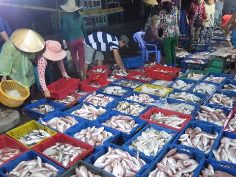 Les exportations aquatiques en légère baisse ảnh 1