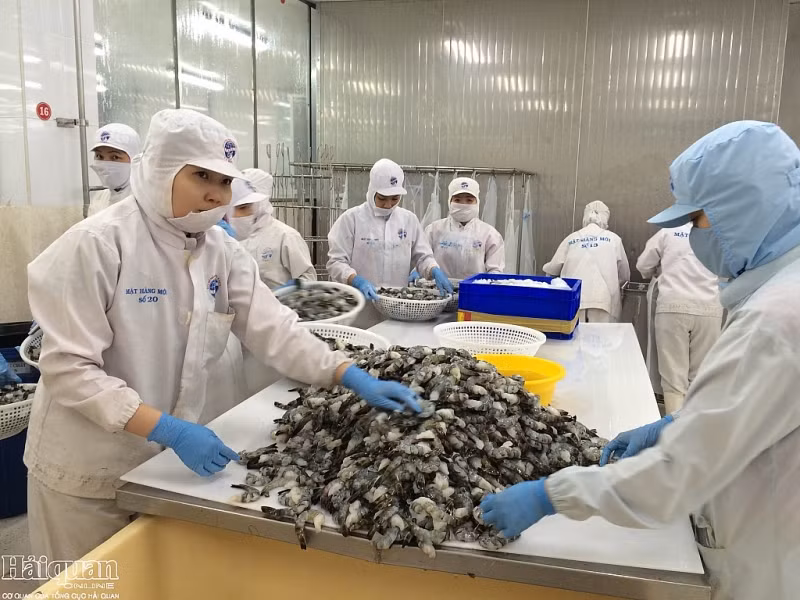 Forte hausse des exportations vietnamiennes de crevettes aux Etats-Unis ảnh 1