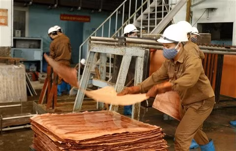 BAD: La croissance économique du Vietnam prévue à 4,8% en 2020 ảnh 1