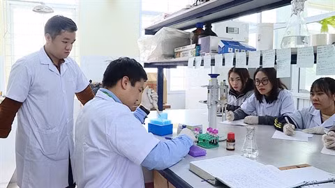 Vietnam-Belgique: Vingt ans de coopération dans la génétique des races d'élevage ảnh 1