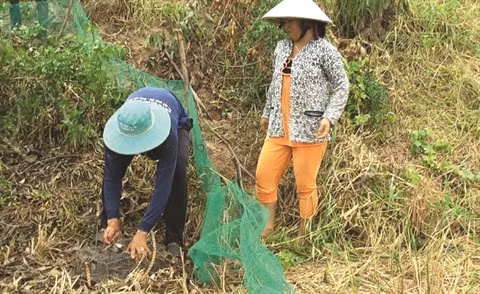  Sur les pas des chasseurs de rats du Sud-Ouest ảnh 1