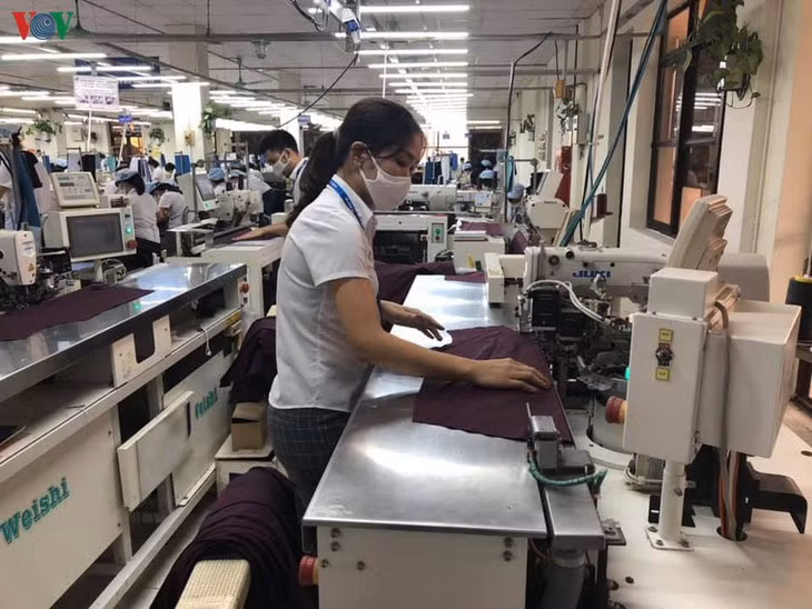 Et si la loi protégeait les petits actionnaires ảnh 1